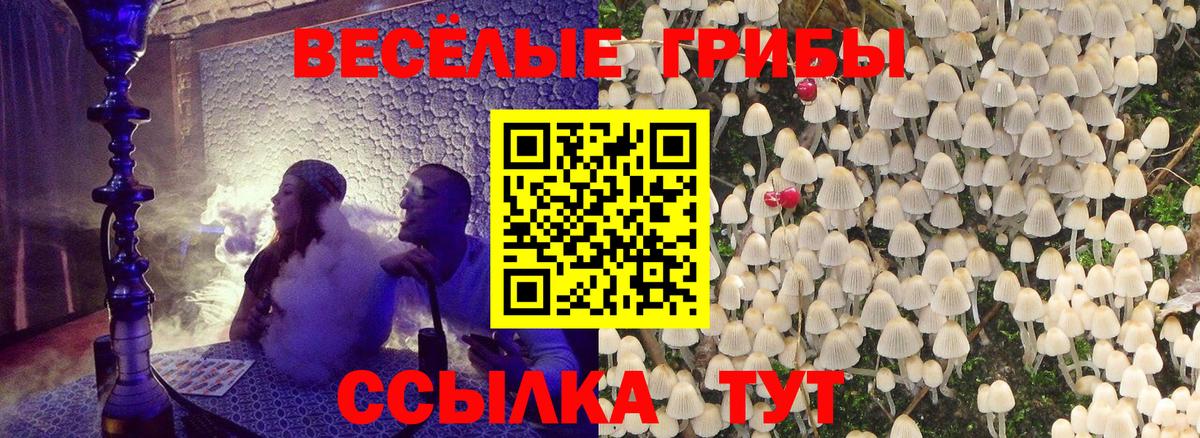 Нижневартовск  Галлюциногенные грибы ЛСД  Вход с VPN 